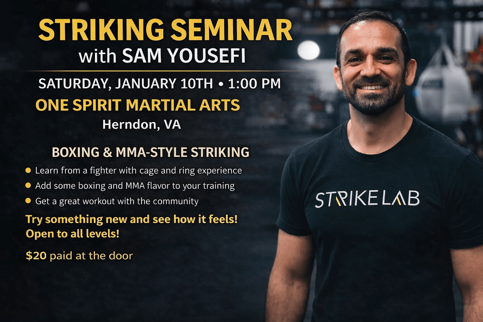 Read more about the article Boxing and MMA-Style Striking Seminar with Sam Yousefi